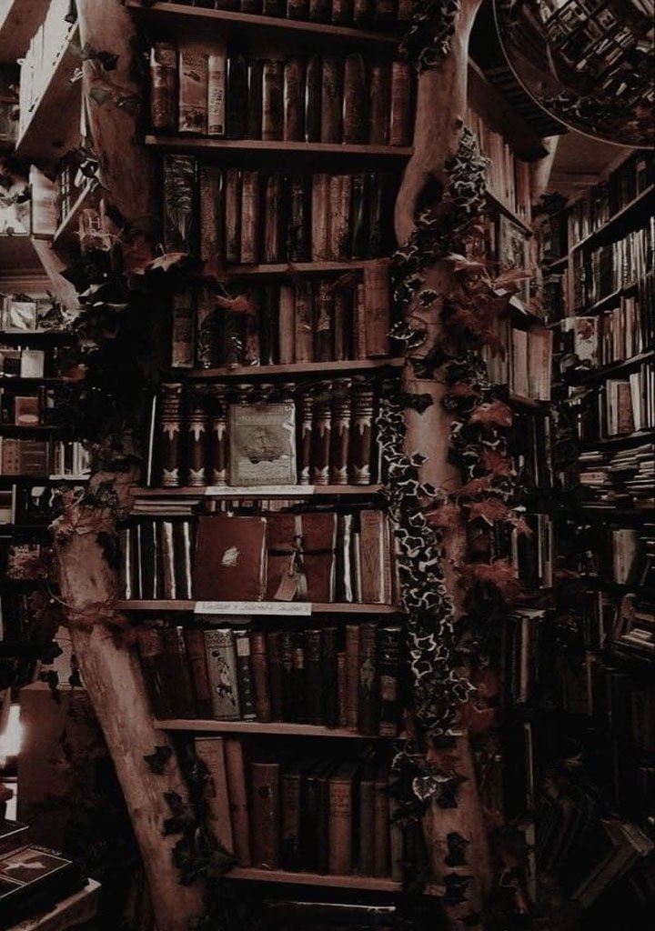 Dark Library