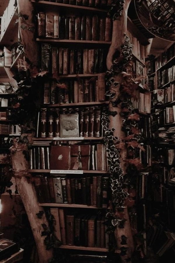 Dark Library